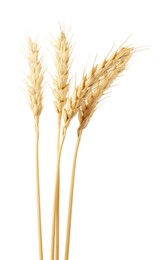 Photo of Dried spikes of wheat on white background