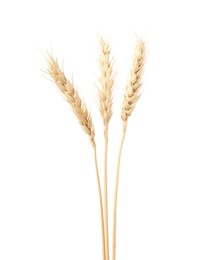 Photo of Dried spikes of wheat isolated on white