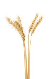 Photo of Dried spikes of wheat isolated on white