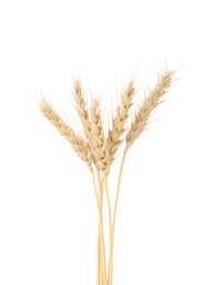 Photo of Dried spikes of wheat isolated on white