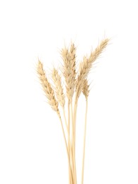 Photo of Dried spikes of wheat isolated on white