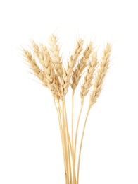 Photo of Dried spikes of wheat isolated on white