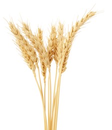 Photo of Dried spikes of wheat isolated on white