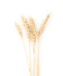 Photo of Dried spikes of wheat isolated on white, top view
