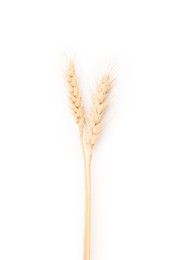 Photo of Two spikes of wheat isolated on white, top view