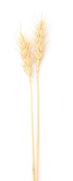Photo of Two spikes of wheat isolated on white, top view