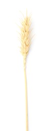 Photo of One spike of wheat isolated on white, top view