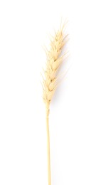 Photo of One spike of wheat isolated on white, top view