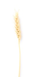 Photo of One spike of wheat isolated on white, top view