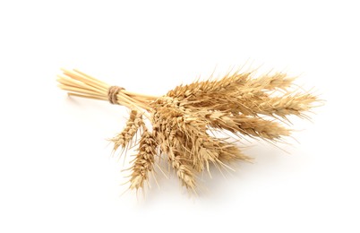 Photo of Bunch of dried wheat spikes isolated on white