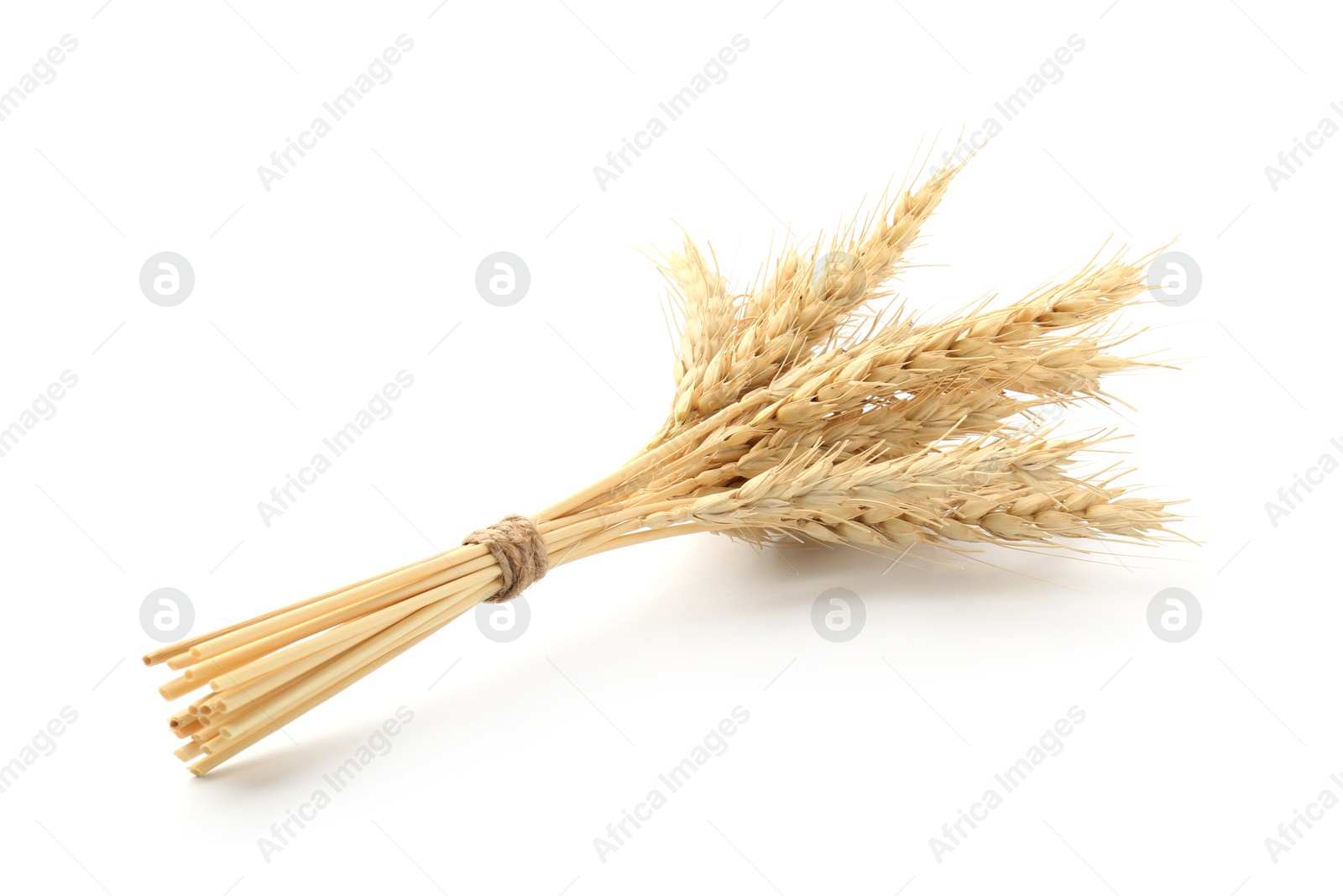Bunch of dried wheat spikes isolated on white Photo of Bunch of dried wheat spikes isolated on white