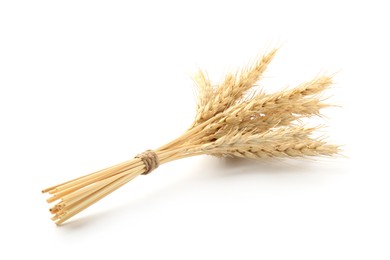 Photo of Bunch of dried wheat spikes isolated on white