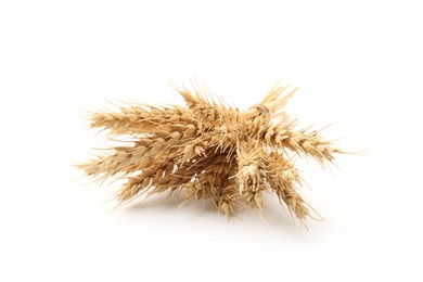 Photo of Bunch of dried wheat spikes isolated on white