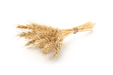 Photo of Bunch of dried wheat spikes isolated on white