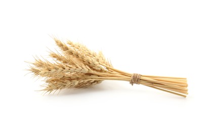 Photo of Bunch of dried wheat spikes isolated on white
