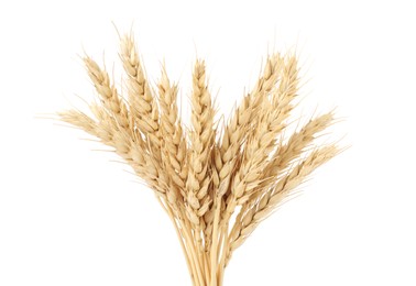 Photo of Dried spikes of wheat isolated on white