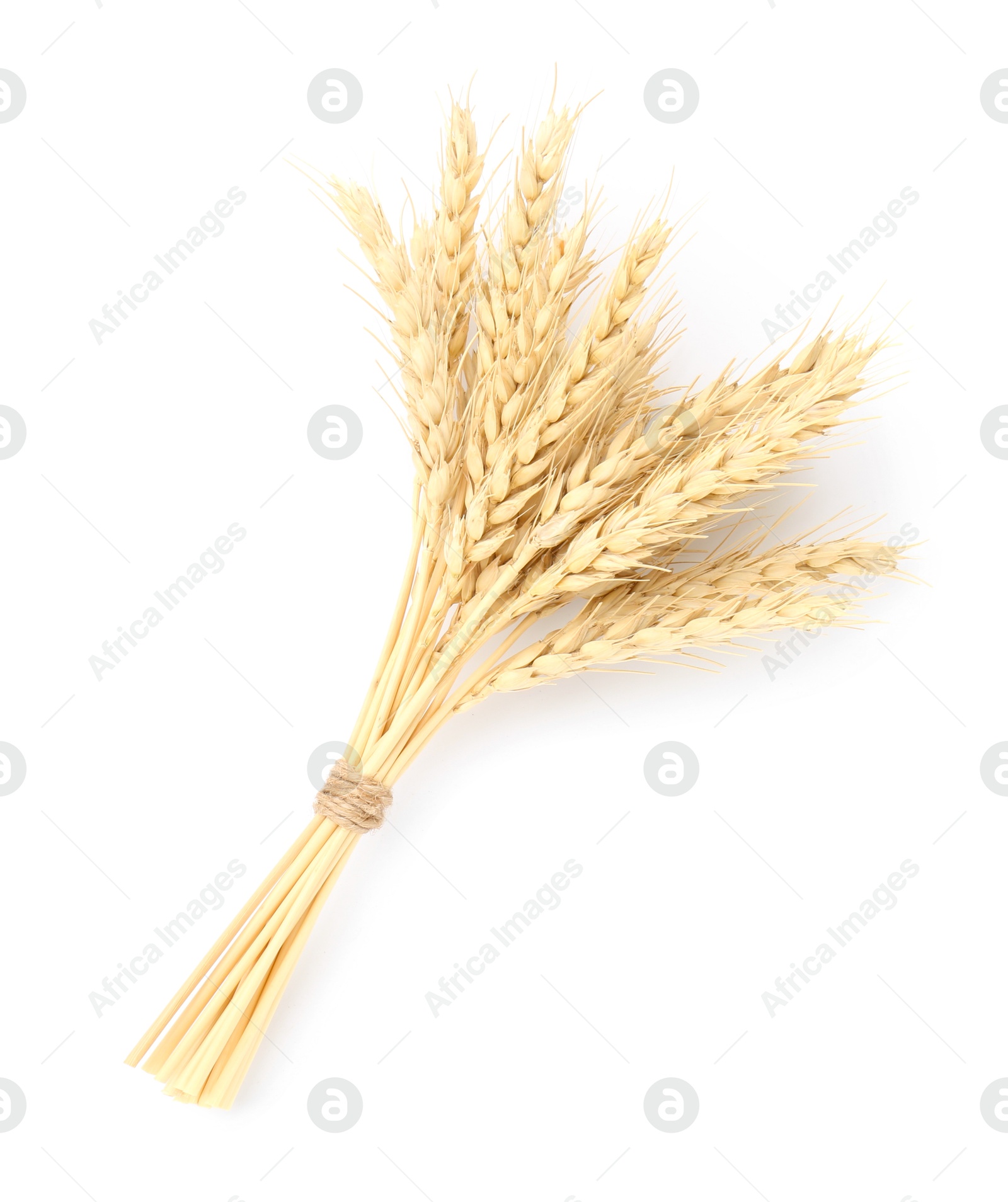 Bunch wheat spikes isolated on white, top view Photo of Bunch wheat spikes isolated on white, top view