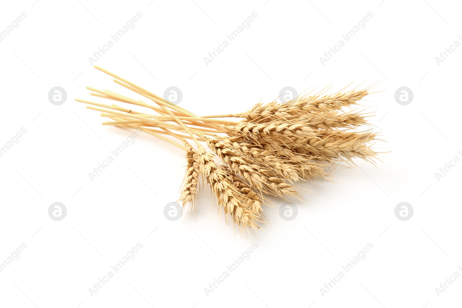 Dried spikes of wheat isolated on white Photo of Dried spikes of wheat isolated on white