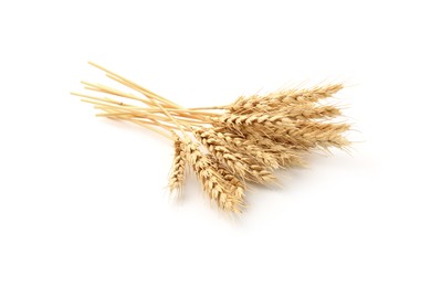 Photo of Dried spikes of wheat isolated on white