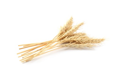Photo of Dried spikes of wheat isolated on white