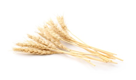 Photo of Dried spikes of wheat isolated on white
