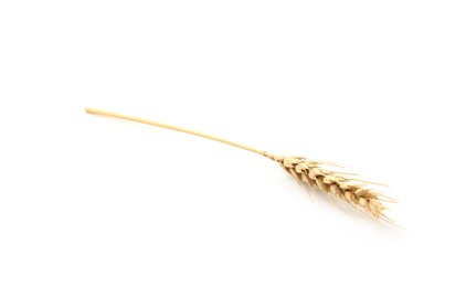 Photo of One spike of wheat isolated on white