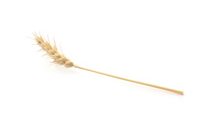 Photo of One spike of wheat isolated on white