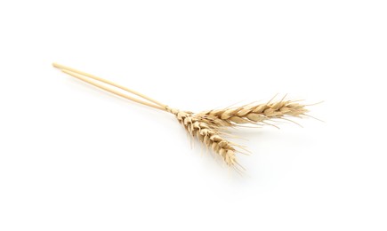 Photo of Two spikes of wheat isolated on white