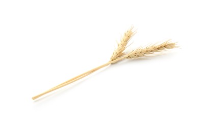 Photo of Two spikes of wheat isolated on white