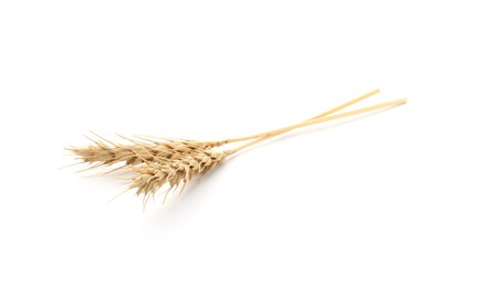 Photo of Dried spikes of wheat on white background