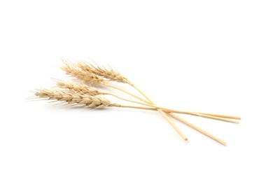 Photo of Dried spikes of wheat on white background