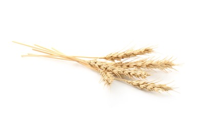 Photo of Dried spikes of wheat isolated on white