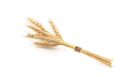 Photo of Bunch of dried wheat spikes isolated on white