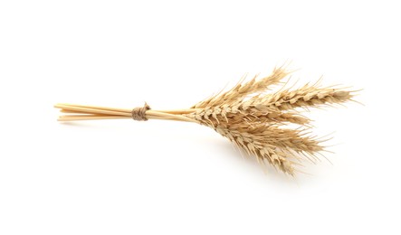 Photo of Bunch of dried wheat spikes isolated on white