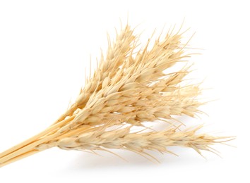 Photo of Bunch of dried wheat spikes isolated on white