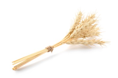 Photo of Bunch of dried wheat spikes isolated on white
