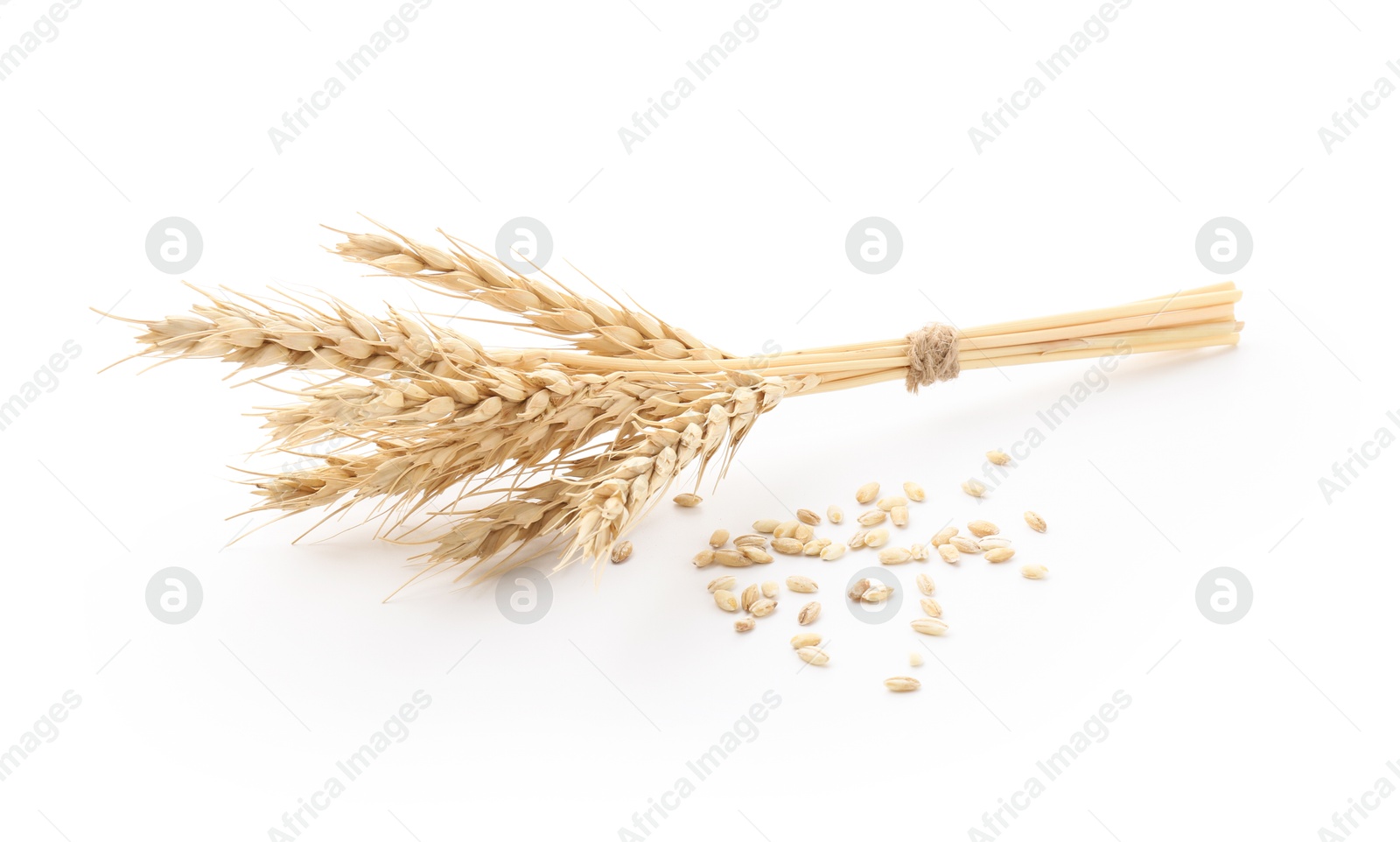Spikes of wheat and grains isolated on white Photo of Spikes of wheat and grains isolated on white