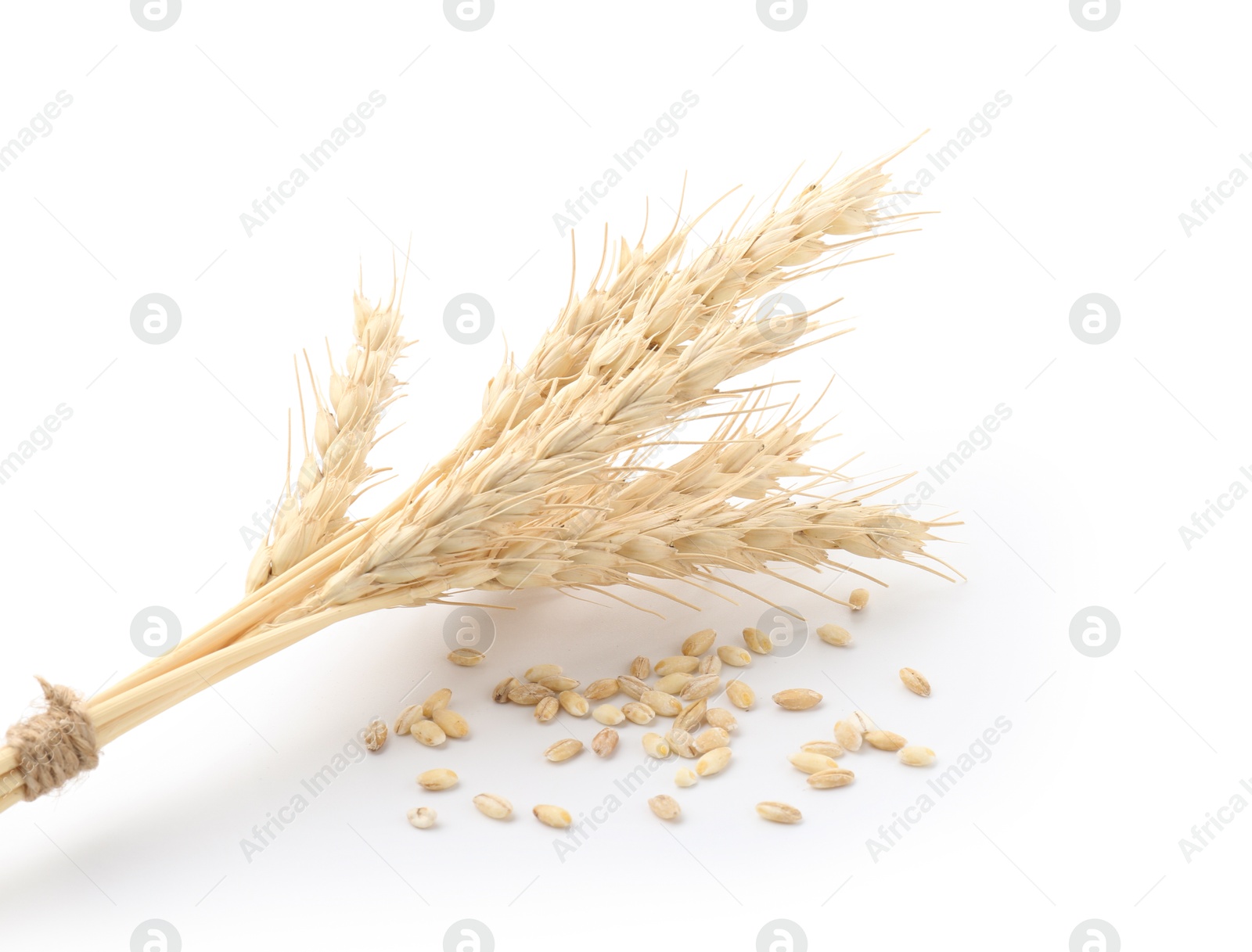 Spikes of wheat and grains isolated on white Photo of Spikes of wheat and grains isolated on white