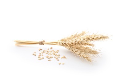 Photo of Spikes of wheat and grains isolated on white