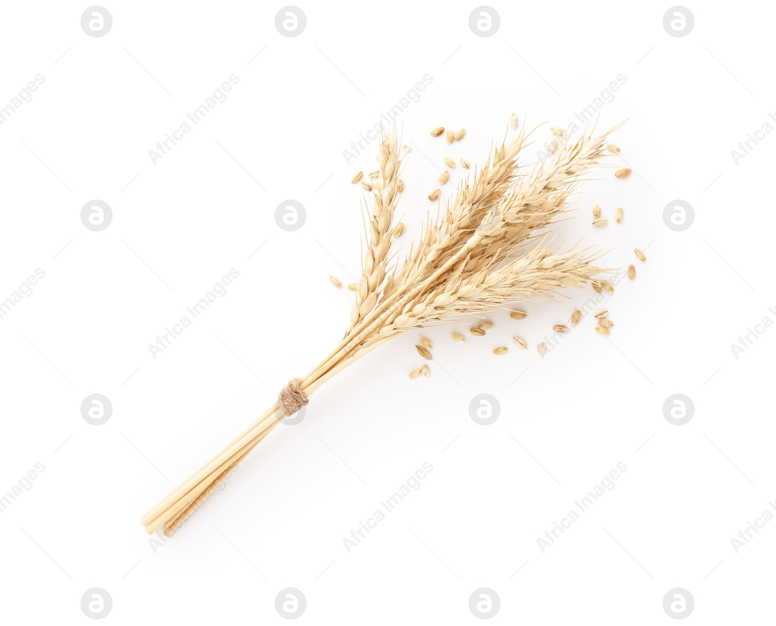 Spikes of wheat and grains isolated on white, top view Photo of Spikes of wheat and grains isolated on white, top view