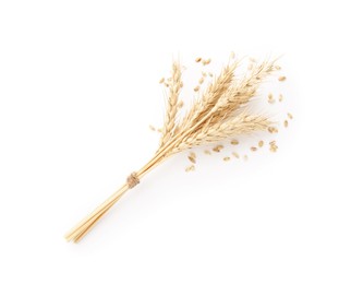 Photo of Spikes of wheat and grains isolated on white, top view