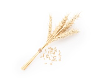 Photo of Spikes of wheat and grains isolated on white, top view