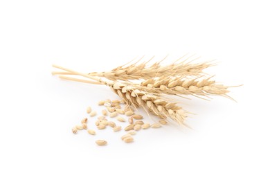 Photo of Wheat spikes and grains isolated on white