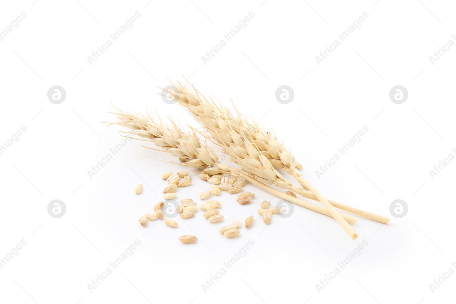Photo of Wheat spikes and grains isolated on white