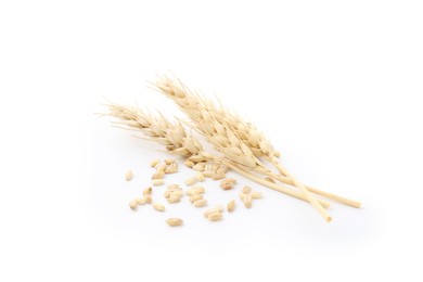 Photo of Wheat spikes and grains isolated on white