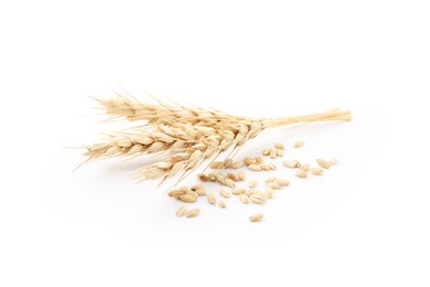 Photo of Wheat spikes and grains isolated on white
