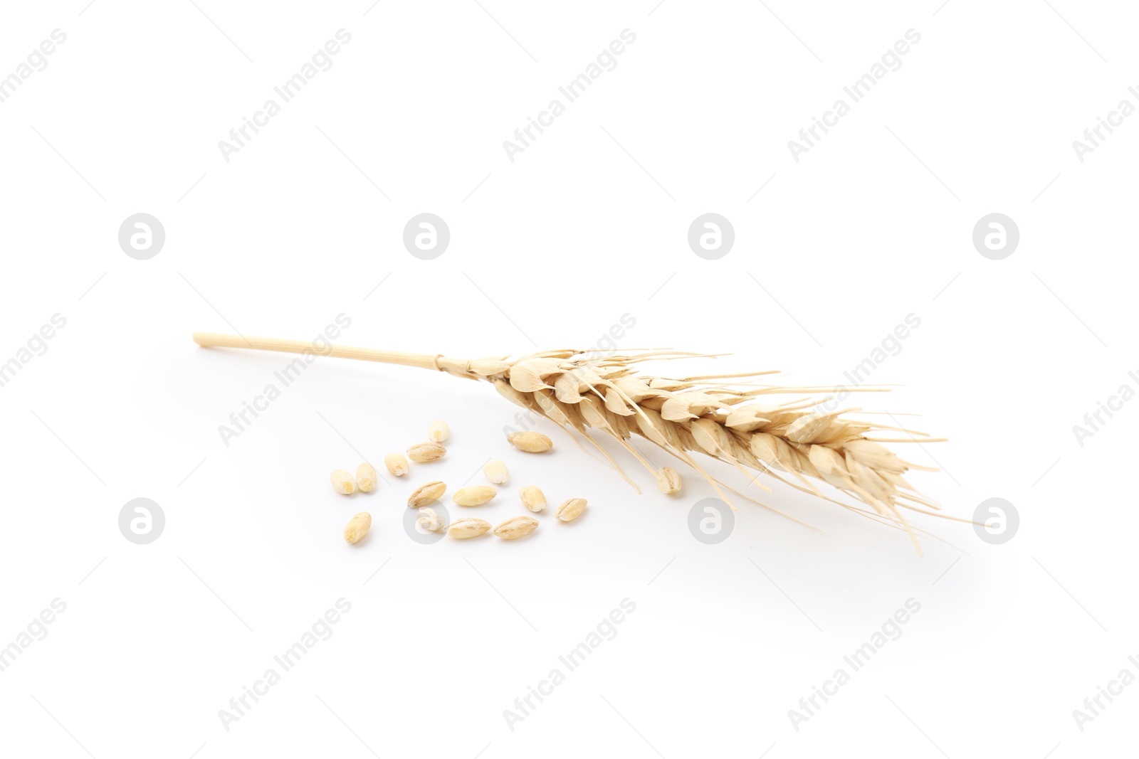 Photo of Wheat spike and grains isolated on white