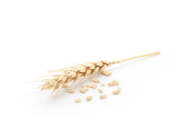 Photo of Wheat spike and grains isolated on white