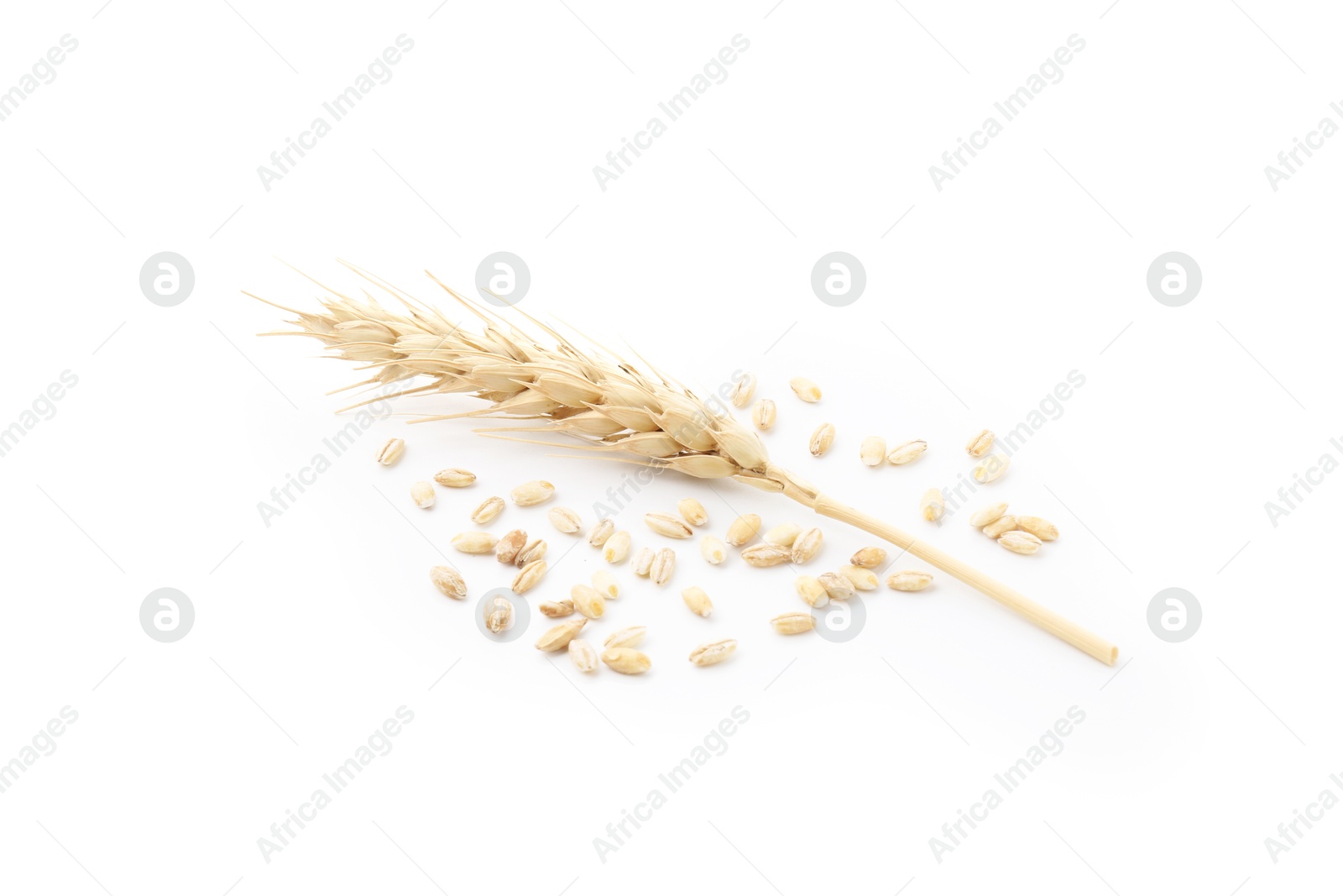 Wheat spike and grains isolated on white Photo of Wheat spike and grains isolated on white