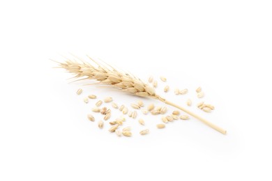 Photo of Wheat spike and grains isolated on white